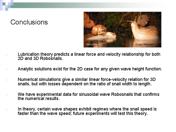 Conclusions - Lubrication theory predicts a linear force and velocity relationship for both 2
