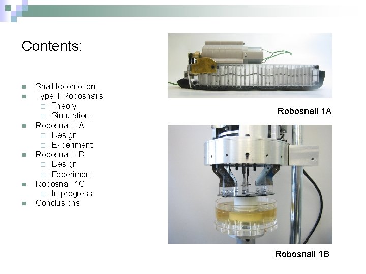 Contents: n n n Snail locomotion Type 1 Robosnails ¨ Theory ¨ Simulations Robosnail