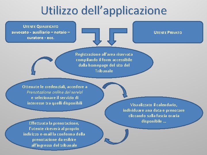 Utilizzo dell’applicazione UTENTE QUALIFICATO avvocato - ausiliario – notaio – curatore - ecc. UTENTE