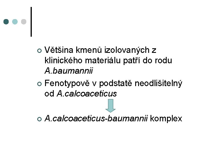 Většina kmenů izolovaných z klinického materiálu patří do rodu A. baumannii ¢ Fenotypově v