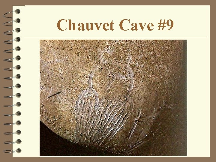 Chauvet Cave #9 