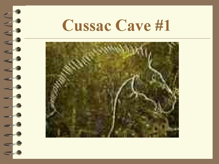 Cussac Cave #1 