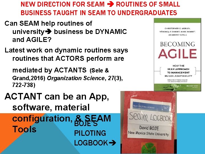NEW DIRECTION FOR SEAM ROUTINES OF SMALL BUSINESS TAUGHT IN SEAM TO UNDERGRADUATES Can