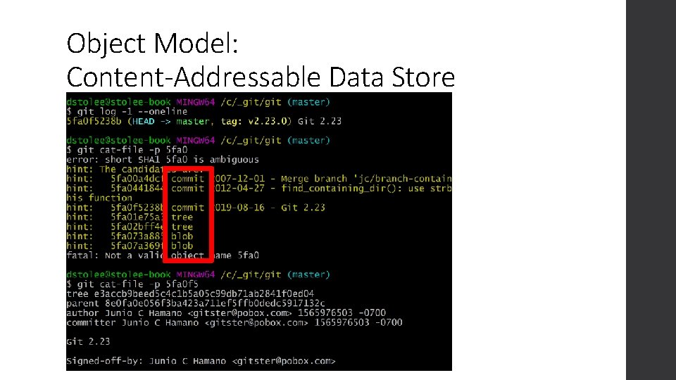 Object Model: Content-Addressable Data Store 