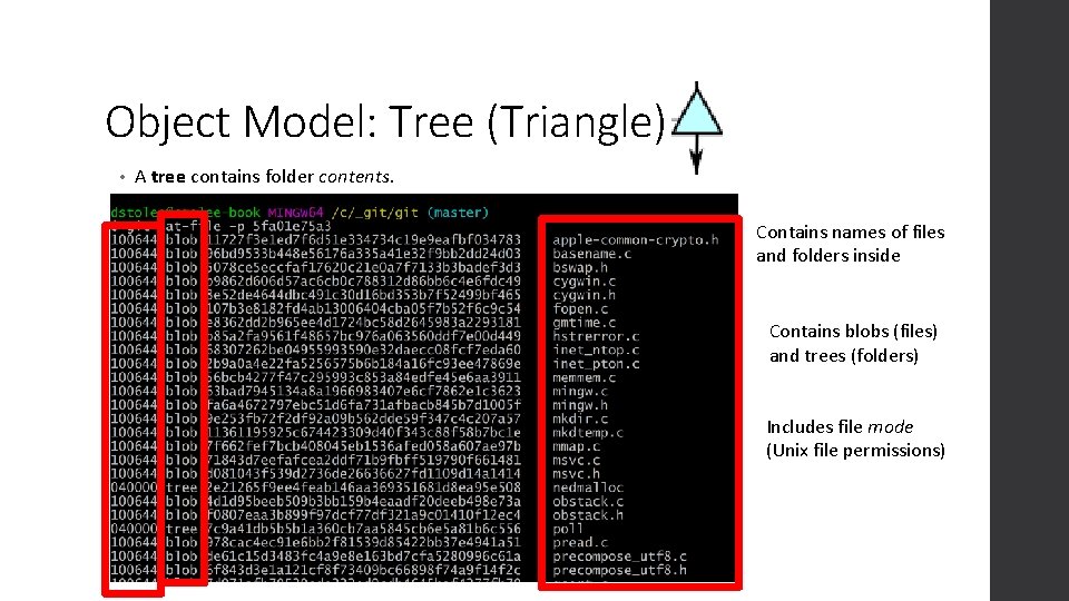 Object Model: Tree (Triangle) • A tree contains folder contents. Contains names of files