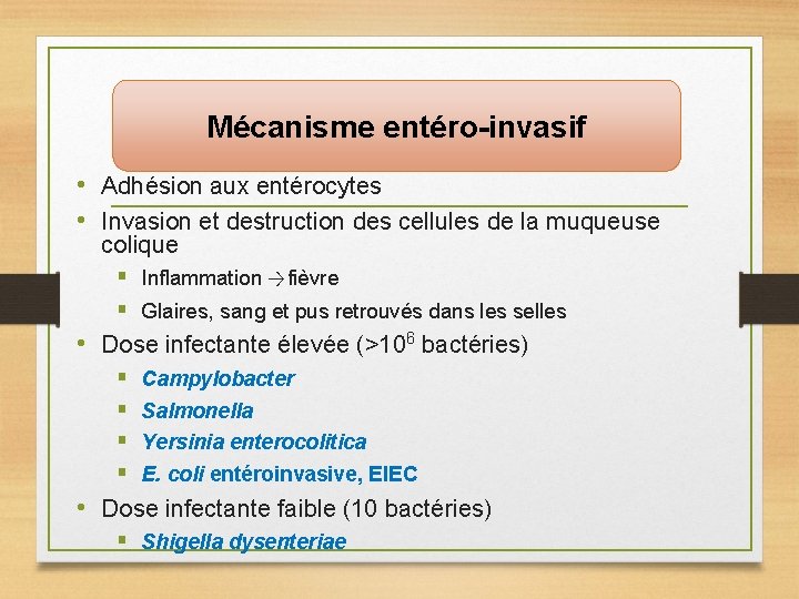 Mécanisme entéro-invasif • Adhésion aux entérocytes • Invasion et destruction des cellules de la