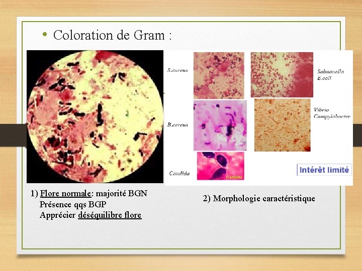  • Coloration de Gram : 1) Flore normale: majorité BGN Présence qqs BGP