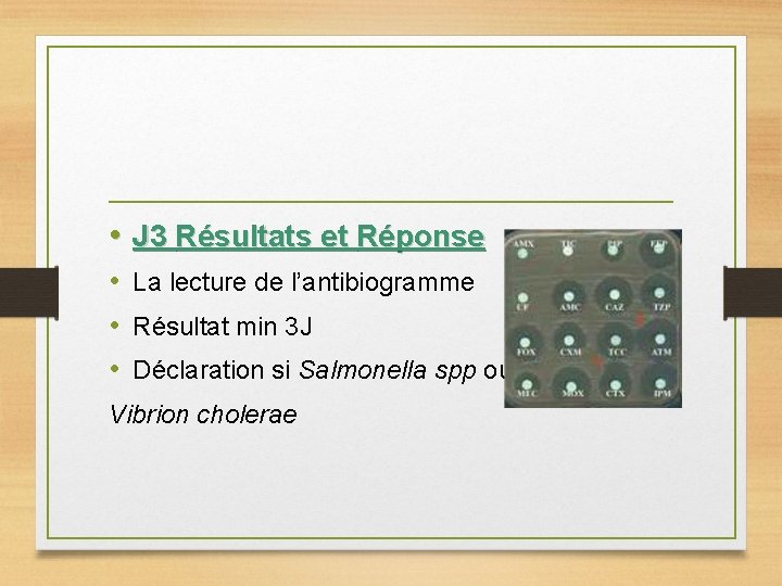  • J 3 Résultats et Réponse • La lecture de l’antibiogramme • Résultat