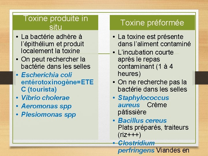 Toxine produite in situ • La bactérie adhère à l’épithélium et produit localement la