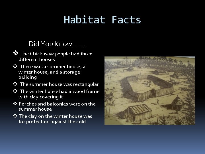 Habitat Facts Did You Know……. v The Chickasaw people had three different houses v