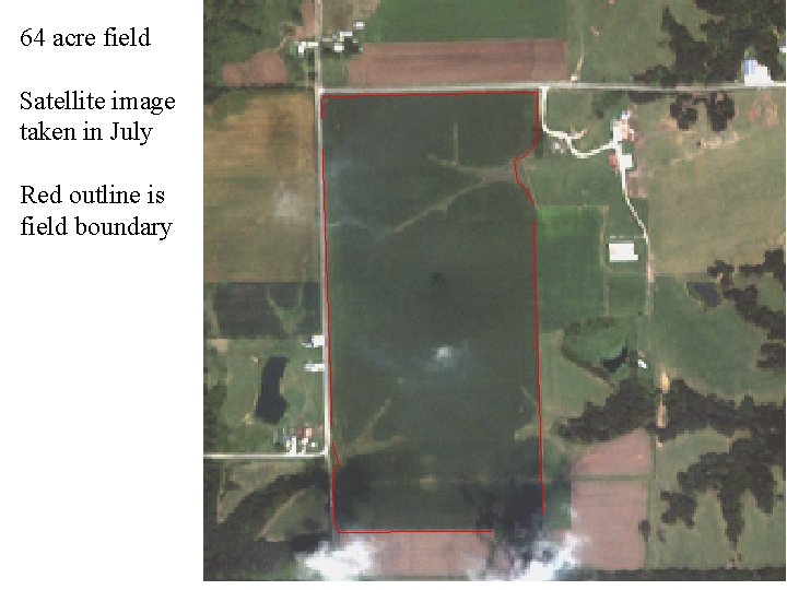 64 acre field Satellite image taken in July Red outline is field boundary 