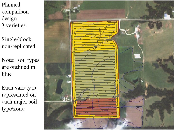 Planned comparison design 3 varieties Single-block non-replicated Note: soil types are outlined in blue