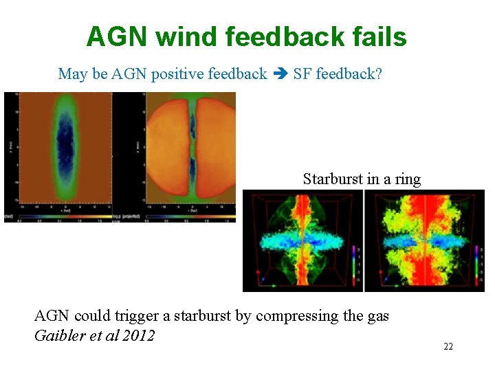 AGN wind feedback fails May be AGN positive feedback SF feedback? Starburst in a