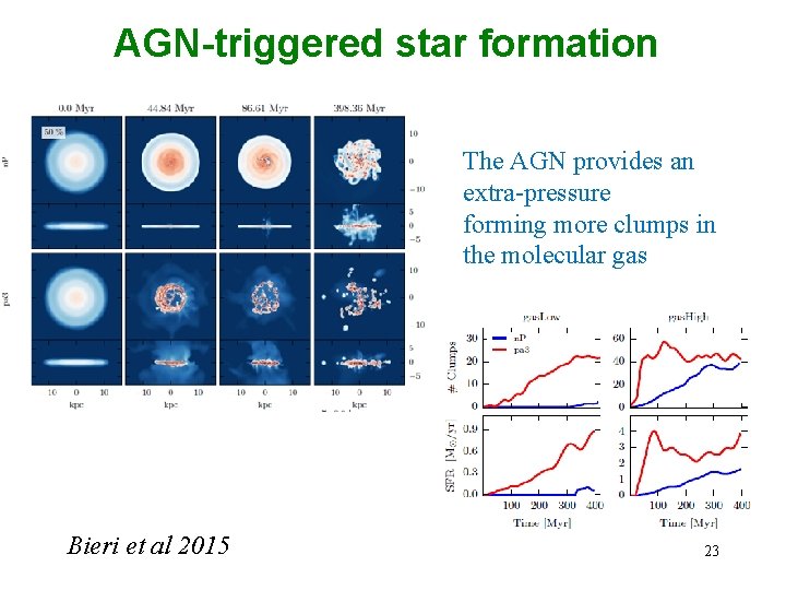 AGN-triggered star formation The AGN provides an extra-pressure forming more clumps in the molecular