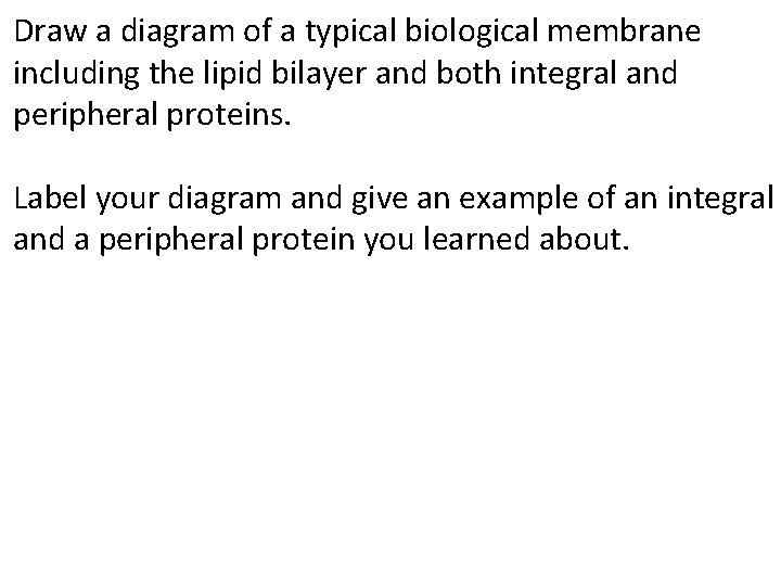 Draw a diagram of a typical biological membrane including the lipid bilayer and both