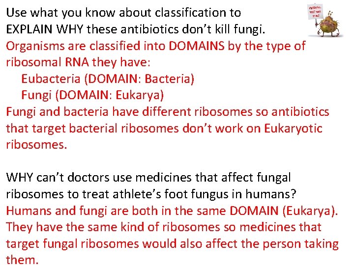 Use what you know about classification to EXPLAIN WHY these antibiotics don’t kill fungi.