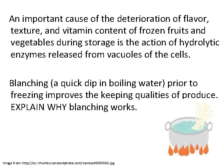 An important cause of the deterioration of flavor, texture, and vitamin content of frozen