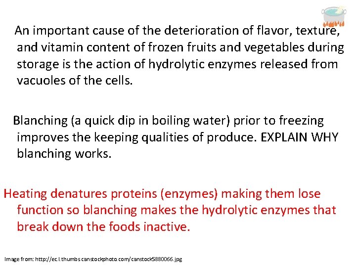 An important cause of the deterioration of flavor, texture, and vitamin content of frozen