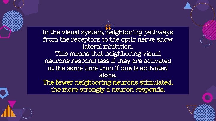“ In the visual system, neighboring pathways from the receptors to the optic nerve
