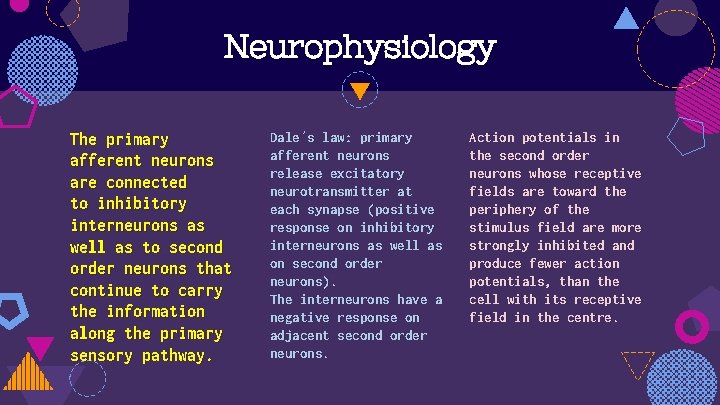 Neurophysiology The primary afferent neurons are connected to inhibitory interneurons as well as to