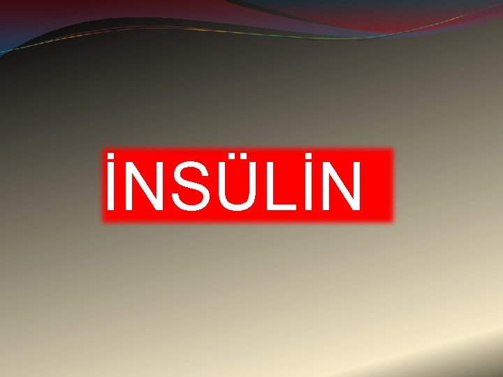 İNSÜLİN 