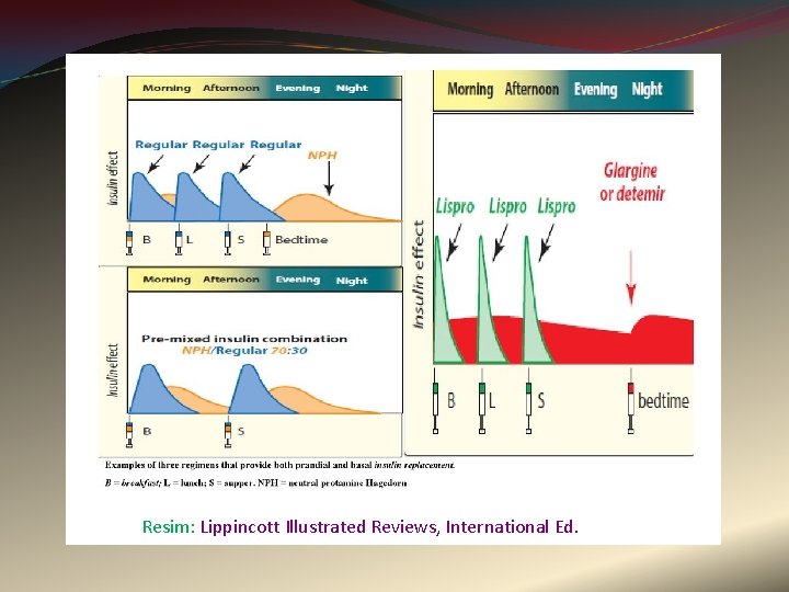 Resim: Lippincott Illustrated Reviews, International Ed. 