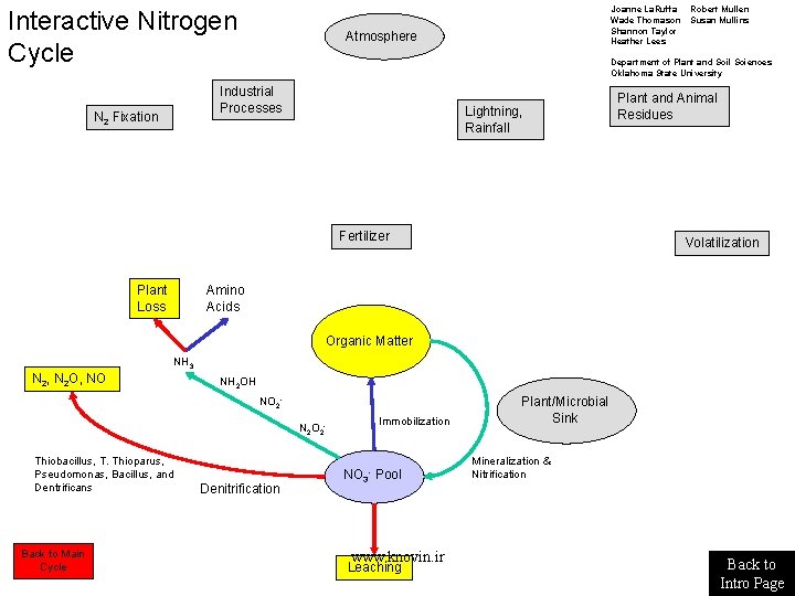 Interactive Nitrogen Cycle Atmosphere Robert Mullen Susan Mullins Department of Plant and Soil Sciences Interactive Nitrogen Cycle Atmosphere Robert Mullen Susan Mullins Department of Plant and Soil Sciences