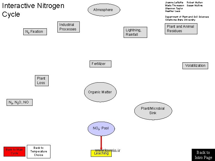 Interactive Nitrogen Cycle N 2 Fixation Joanne La. Ruffa Wade Thomason Shannon Taylor Heather Interactive Nitrogen Cycle N 2 Fixation Joanne La. Ruffa Wade Thomason Shannon Taylor Heather