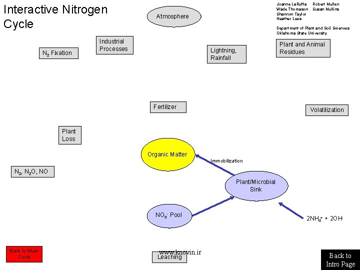 Interactive Nitrogen Cycle N 2 Fixation Joanne La. Ruffa Wade Thomason Shannon Taylor Heather Interactive Nitrogen Cycle N 2 Fixation Joanne La. Ruffa Wade Thomason Shannon Taylor Heather