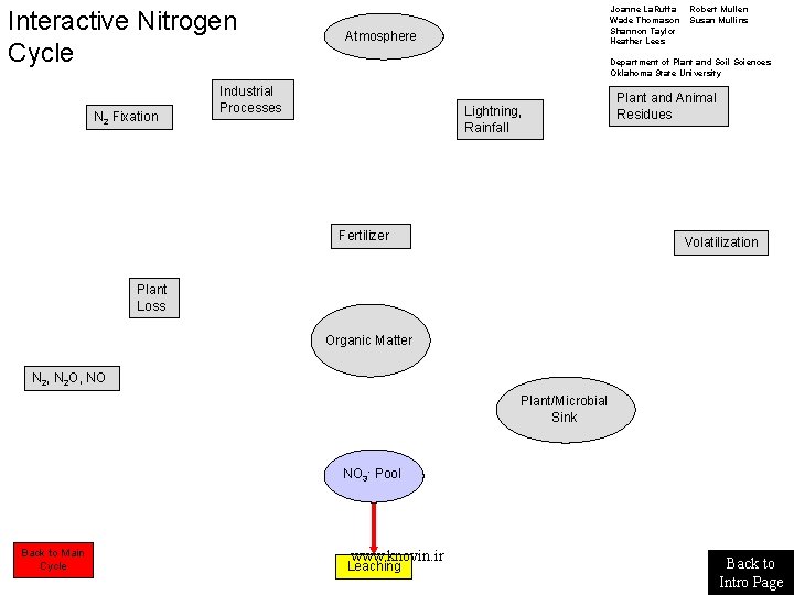 Interactive Nitrogen Cycle N 2 Fixation Joanne La. Ruffa Wade Thomason Shannon Taylor Heather Interactive Nitrogen Cycle N 2 Fixation Joanne La. Ruffa Wade Thomason Shannon Taylor Heather