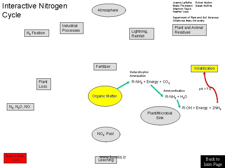 Interactive Nitrogen Cycle N 2 Fixation Joanne La. Ruffa Wade Thomason Shannon Taylor Heather Interactive Nitrogen Cycle N 2 Fixation Joanne La. Ruffa Wade Thomason Shannon Taylor Heather