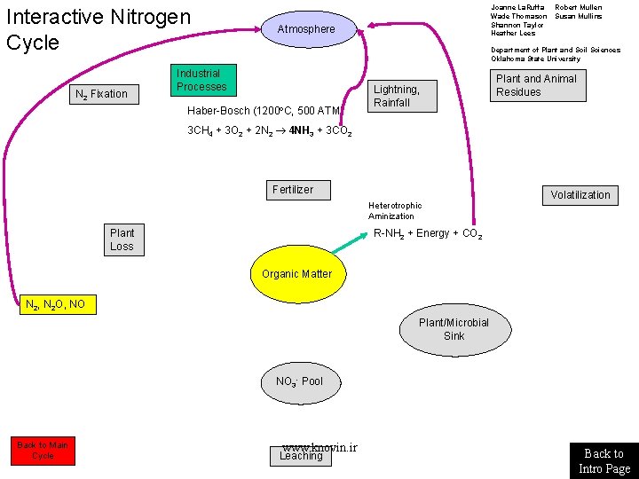 Interactive Nitrogen Cycle N 2 Fixation Joanne La. Ruffa Wade Thomason Shannon Taylor Heather