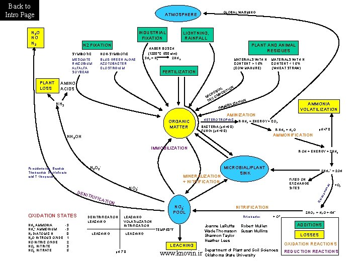 Back to Intro Page GLOBAL WARMING ATMOSPHERE N 2 O NO N 2 PLANT