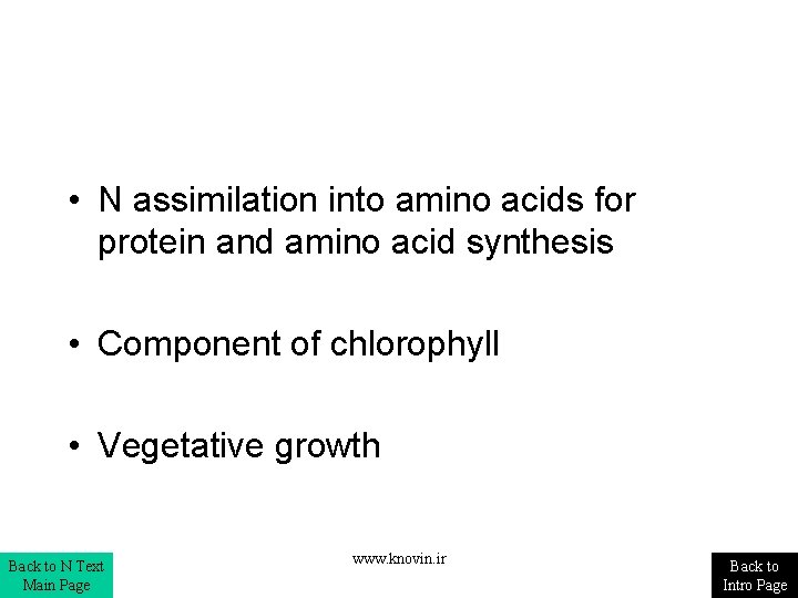 • N assimilation into amino acids for protein and amino acid synthesis • • N assimilation into amino acids for protein and amino acid synthesis •