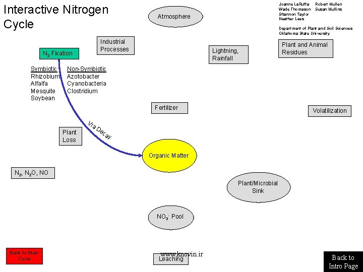 Interactive Nitrogen Cycle Symbiotic Rhizobium Alfalfa Mesquite Soybean Atmosphere Robert Mullen Susan Mullins Department