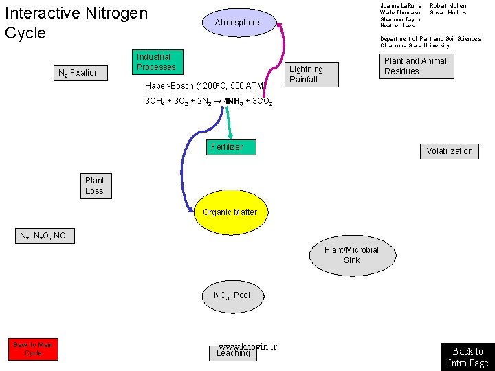 Interactive Nitrogen Cycle N 2 Fixation Joanne La. Ruffa Wade Thomason Shannon Taylor Heather Interactive Nitrogen Cycle N 2 Fixation Joanne La. Ruffa Wade Thomason Shannon Taylor Heather