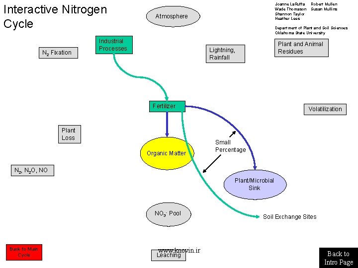 Interactive Nitrogen Cycle N 2 Fixation Joanne La. Ruffa Wade Thomason Shannon Taylor Heather Interactive Nitrogen Cycle N 2 Fixation Joanne La. Ruffa Wade Thomason Shannon Taylor Heather