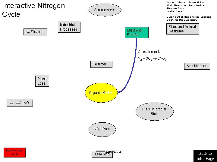 Interactive Nitrogen Cycle N 2 Fixation Joanne La. Ruffa Wade Thomason Shannon Taylor Heather Interactive Nitrogen Cycle N 2 Fixation Joanne La. Ruffa Wade Thomason Shannon Taylor Heather