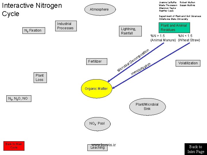 Interactive Nitrogen Cycle N 2 Fixation Joanne La. Ruffa Wade Thomason Shannon Taylor Heather