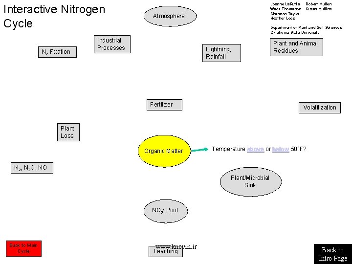 Interactive Nitrogen Cycle N 2 Fixation Joanne La. Ruffa Wade Thomason Shannon Taylor Heather