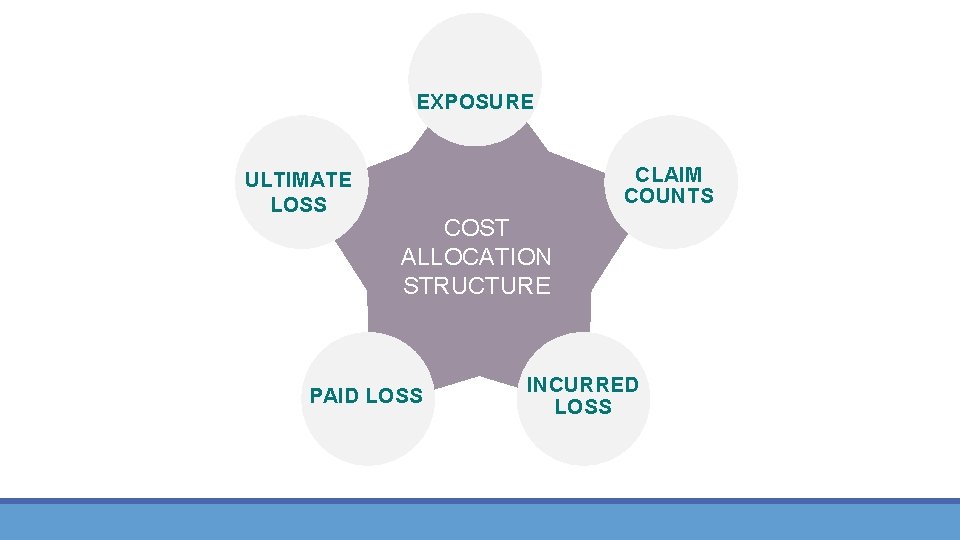 EXPOSURE ULTIMATE LOSS CLAIM COUNTS COST ALLOCATION STRUCTURE PAID LOSS INCURRED LOSS 