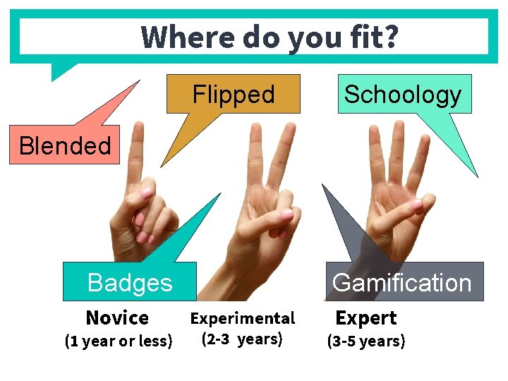 Where do you fit? Flipped Schoology Blended Badges Gamification Novice Expert Experimental (2 -3