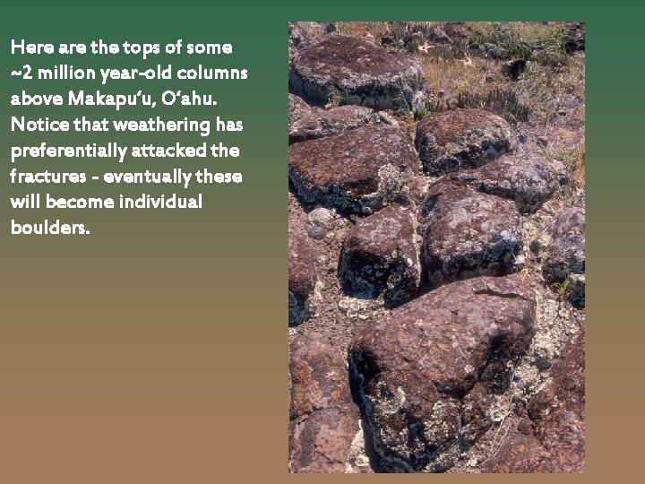 Here are the tops of some ~2 million year-old columns above Makapu‘u, O‘ahu. Notice