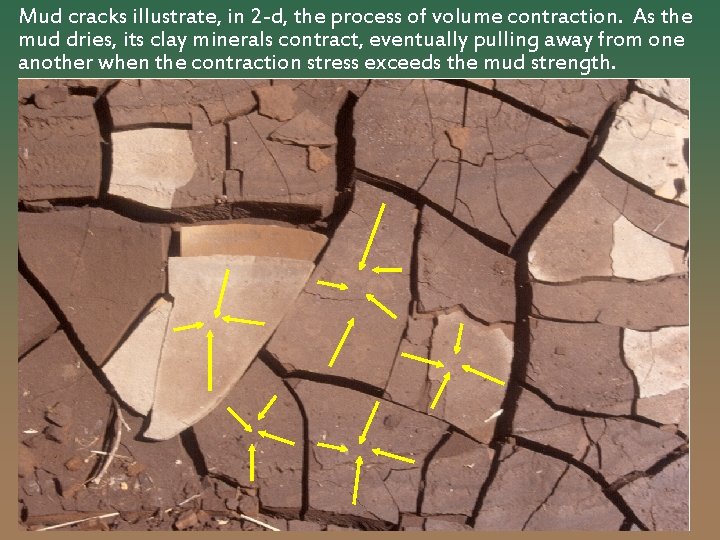 Mud cracks illustrate, in 2 -d, the process of volume contraction. As the mud