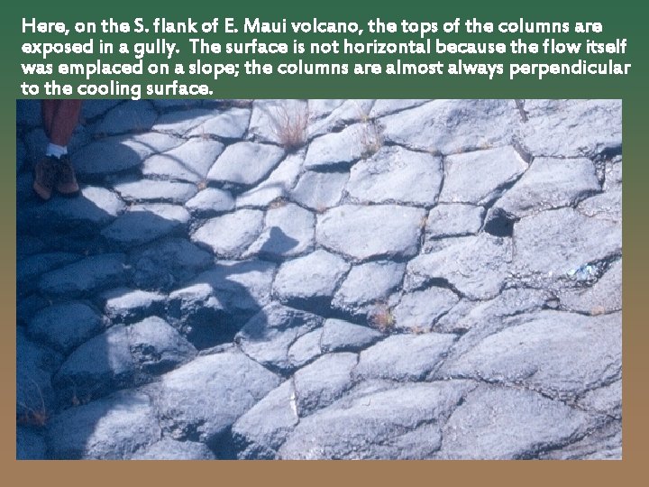 Here, on the S. flank of E. Maui volcano, the tops of the columns