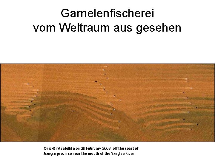 Garnelenfischerei vom Weltraum aus gesehen Quick. Bird satellite on 20 February 2003, off the