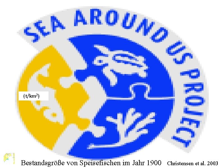 (t/km 2) Bestandsgröße von Speisefischen im Jahr 1900 Christensen et al. 2003 