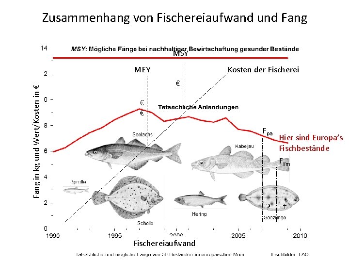 Zusammenhang von Fischereiaufwand und Fang MSY Fang in kg und Wert/Kosten in € MEY