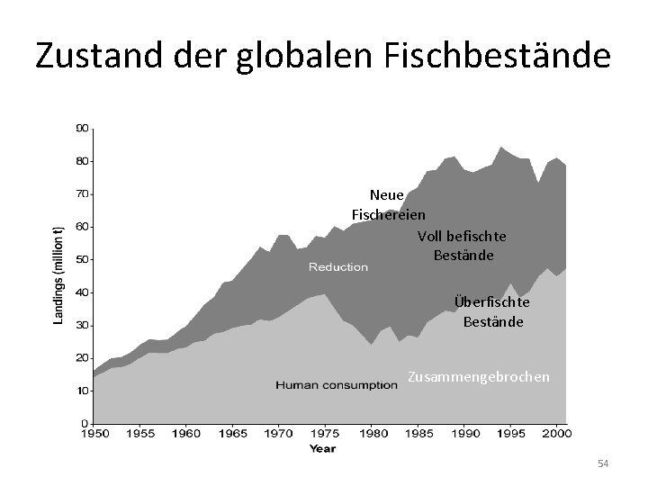 Zustand der globalen Fischbestände Neue Bestände Neue Fischereien Voll befischte Bestände Überfischte Bestände Zusammengebrochen