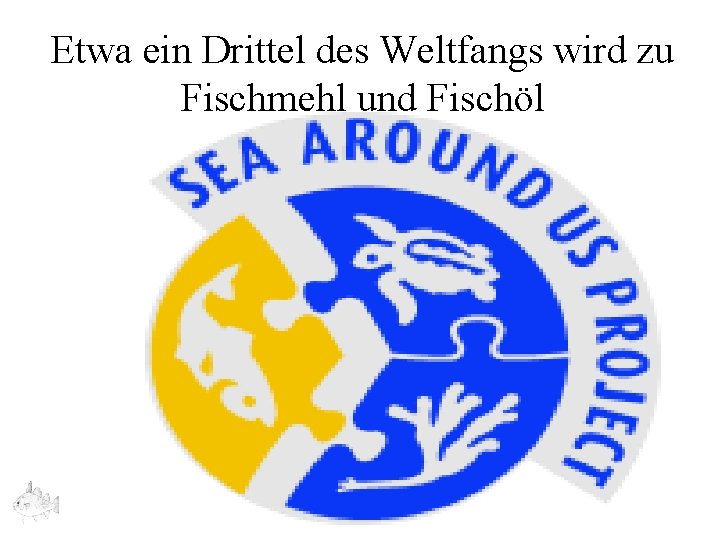 Etwa ein Drittel des Weltfangs wird zu Fischmehl und Fischöl 